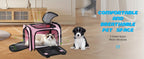 Airline Approved Pet Carrier Soft Sided – TSA Approved Collapsible Travel Bag for Small Dogs, Cats & Kittens Under 15 lbs, Fits Under Airplane Seat