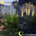 Solar Powered Golden Grass Garden Lights – Energy-Efficient Outdoor Decorative Stake Lights for Yard, Patio & Balcony, Nickel Battery, Semi Flush Mount, Available in 1pc or 2pcs