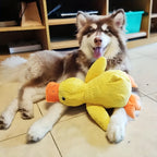 Large Plush Duck Dog Toy with Squeaker – Bite-Resistant Soft Chew Toy for Puppies & Large Breed Dogs, Durable Interactive Teething Toy for Golden Retrievers, Corgis & All Breeds
