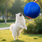 Large Inflatable Dog Ball Toy – Interactive Herding Training Ball for Dogs, Anti-Boredom Exercise Toy for Bulldogs, Golden Retrievers & Australian Shepherds, No Battery Required