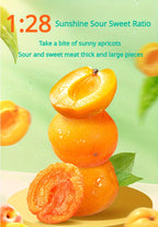 Dried Apricots Snack 3 Bags Pack Natural Tropical Dried Fruit Healthy Sweet Snack for Parties Gifts Travel