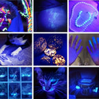 UV Blacklight Flashlight 395nm Portable Ultraviolet Light for Counterfeit Detection Pet Urine Stain Scorpion Hunting Ringworm, Multi-Pack 4/6/8/12pcs, AAA Battery Powered