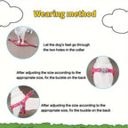 Dog Harness and Leash Set with Bone Pattern - No Pull Triangle Chest Back Vest Harness for Small Medium Large Dogs, Indoor Outdoor Walking, Pink Black Blue Grey, S M L