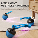 Interactive USB Rechargeable Rolling Dog Ball Toy with Light - Smart Auto-Moving Ball with Tail Rope & LED, Bite-Resistant Indoor Play for Small Medium Dogs, Boredom Relief Chew & Chase Toy
