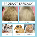 Dog Cat Detangling Spray Leave-In 10-in-1 by FEALUTE - Botanical Oils, Aloe & Vitamin E - Removes Knots, Tames Frizz, Moisturizes, Adds Shine - No Rinse Pet Coat Grooming Mist for All Coat Types