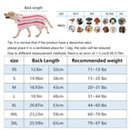 Quick-Dry Dog Bath Robe Towel Wrap for Small Medium Large Dogs Adjustable Snap Closure All-Season Post-Bath Drying Gown Machine Washable Pet Bathrobe
