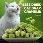Freeze-Dried Cat Grass Hairball Control Tablets – Natural Mint Molar Sticks & Granules, Chicken Flavor Cat Snacks for Dental Health & Hair Removal
