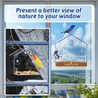 Window Bird Feeder Clear Plastic with Strong Suction Cups – Transparent Outside Bird Feeder for Close-Up Bird Watching, No Battery Needed, Durable Window Birdhouse for Wild Birds
