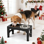 Adjustable Elevated Dog Bowl Stand with 3-Bowl Set – 5 Heights 3.2–12.2 Inch, 2 Stainless Steel Bowls + Slow Feeder Bowl for Small Medium Large Dogs, Raised Feeder in Black or Gray