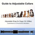 Dog Training Collar with Remote – Rechargeable E-Collar with Shock Vibration Buzz Modes, 2.4G Wireless Remote, USB Charging, Safe & Effective Pet Trainer for Small Medium Large Dogs, 1pc & 2pc