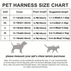 Small Dog Harness and Leash Combo Set - Soft Mesh Step-In Chest Harness for Small Dogs, Comfortable Breathable Pet Vest Harness with Matching Leash for Walking, Jogging & Training