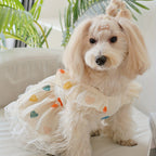 Cute Colorful Heart Dog Dress for Small Dogs & Cats - Soft Gauze Skin-Friendly Pet Doll Dress for Girls, All-Season Cat & Dog Princess Outfit, Adorable Pet Skirt for Teacup Dogs, Puppies & Kittens
