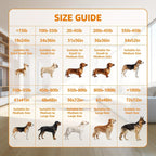 Washable Reusable Dog Pee Pads with Bone Print – Non-Slip Leakproof Absorbent Puppy Training Pads, Machine Washable Whelping Pads for Couch Crate Playpen Potty Training, Multiple Sizes