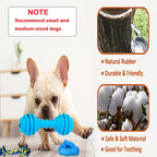 Puppy Teething Toy Variety Pack – Assorted Chew Toys, Rope Toys, Squeaky Toys & Treat Balls for Small & Medium Dogs, Perfect Christmas, Halloween & Birthday Gift for Puppies