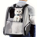 Foldable Ventilated Pet Carrier Backpack for Cats & Dogs – PVC Mesh Airflow, Chest Harness, Removable Mat, Fits Cats up to 18 lbs & Dogs up to 15 lbs, for Travel, Hiking, Flights & Car Rides