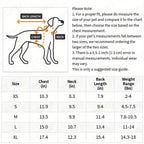 Dog Raincoat for Small Dogs - Cute Rainbow Pattern Waterproof Puppy Jumpsuit, All-Season Rain Jacket with Press Buckle Closure, Lightweight Dog Rain Coat for Small Breeds, Fun Pet Rain Outfit