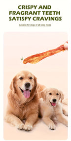 Chicken & Duck Jerky Pet Treats 105g – Grain-Free High Protein Healthy Snacks for Dogs & Cats, Chicken Breast Slices + Duck Jerky Combo, Dental Chews & Training Rewards for Puppies Kittens Adults