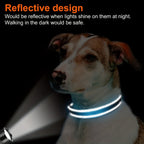 Reflective Dog Collar with Quick-Release Buckle – Soft Neoprene Padded Breathable 1" Striped Dog Collar for Small Medium Large Dogs, Durable Polyester, Sizes XS–XL, 8 Vibrant Colors