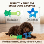 Puppy Chew Toys for Aggressive Chewers 2-Pack – Heavy Duty PVC Bear & Starfish Teething Set for Small Dogs, Teeth Cleaning Dental Chew, Separation Anxiety & Boredom Relief, Gradient Color Puppy Gift Set