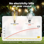 Solar LED String Lights Outdoor Waterproof 50FT & 100FT – ST38 Shatterproof Dimmable Bulbs, USB-C & Solar Powered, 4 Modes, for Patio Yard Pool Garden Wedding Camping Christmas Decor