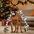 Unbreakable 6-Section Dog Rope Chew Toy – Heavy Duty Tug of War Rope for Medium & Large Dogs Over 80 lbs, Teeth Cleaning Dental Floss Fibers, Non-Toxic Safe Chew Toy for Aggressive Chewers