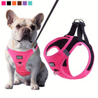 Small Dog Harness and Leash Combo Set - Soft Mesh Step-In Chest Harness for Small Dogs, Comfortable Breathable Pet Vest Harness with Matching Leash for Walking, Jogging & Training