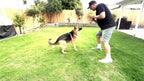 Indestructible Dog Chew Toys for Aggressive Chewers Large Breed Tough Nylon Dog Teething Toy Durable Sturdy Boredom Relief Interactive Chew Toy Keeps Dogs Busy Red 1pc 2pcs 4pcs