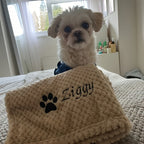 Personalized Pet Blanket Custom Embroidered with Name - Plaid Throw Blanket for Dogs & Cats, Cozy Machine Washable Bedspread for Bed & Couch, 3 Embroidery Styles 4 Colors - Puppy & Kitten Gift