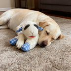 Squeaky Plush Dog Toy with 5 Built-In Squeakers – Calming Stuffed Pet Toy for Small & Medium Dogs, Blue & Red Checkered Fabric Design, Battery-Free No-Electric Anxiety Soothing Chew Toy for Gentle Breeds