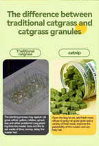 Freeze-Dried Cat Grass Hairball Control Tablets – Natural Mint Molar Sticks & Granules, Chicken Flavor Cat Snacks for Dental Health & Hair Removal
