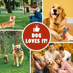Indestructible Dog Chew Toys for Aggressive Chewers Large Breed Tough Nylon Dog Teething Toy Durable Sturdy Boredom Relief Interactive Chew Toy Keeps Dogs Busy Red 1pc 2pcs 4pcs